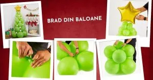 braddinbaloane 1