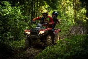 piese ATV Linhai 1